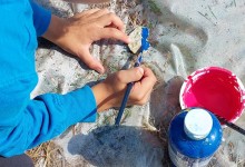 385515496_793427335913803_7046571495946532441_n