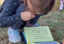 385784033_793427352580468_4044504167942916108_n