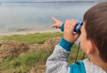 385811067_793427252580478_2130730925472174761_n