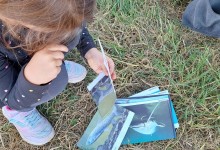 385812865_793427319247138_3729492961632005162_n