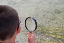 385873291_793427209247149_4019602953387897214_n