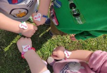 430102774_882235867032949_2543507748232449562_n