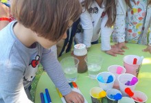 436174241_903617454894790_1645354320538686469_n