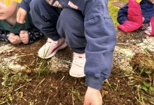 436424503_907766047813264_2522152726745437550_n