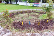 436429546_907760491147153_7306362676226614185_n