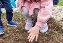 436362227_907759901147212_1057720696449348692_n