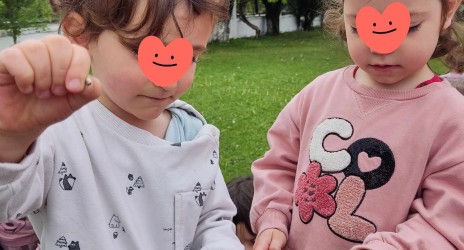 Το σποράκι που κρύφτηκε στη Γη🌱