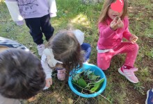 439422280_911994040723798_3276884211525697534_n