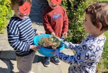 438796575_911993957390473_60546665099594320_n