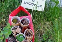 439867300_911993697390499_5551229641344901085_n