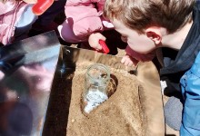 438836804_911994467390422_7867275677403660176_n