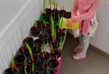 439082407_922625689660633_2359671721372693613_n