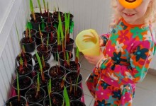 441163538_922625639660638_6764419284938855876_n