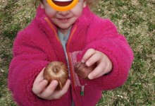 441966642_922625602993975_7122664288306043915_n