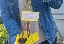 436262072_922626532993882_5170432537184366945_n