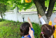 436299274_927156385874230_5651132658852459942_n