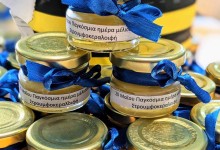 443819141_927156185874250_8253973658584637394_n