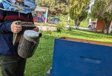 444146241_927156009207601_573390622649500970_n