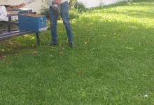 444139598_927155685874300_7665427556401460706_n