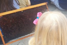 436297841_927155112541024_3806419500910655670_n