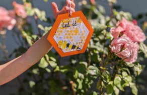 444957462_929622985627570_8899341485155232169_n