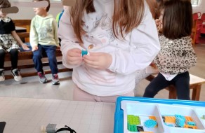 443842157_929622548960947_9059510392254941435_n