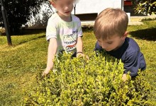 447478881_936760028247199_7446535821604523480_n