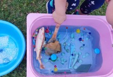 447808012_936762331580302_5592206824770276718_n