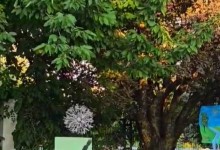 448867513_945659134023955_506387711592419381_n