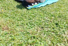 450928546_959587675964434_363949461991767534_n