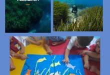 457474433_990452586211276_8558001144412349545_n