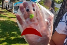 458561578_996172608972607_982454890747542847_n