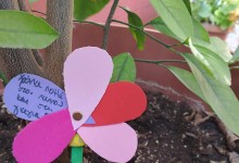 461848395_1012653790657822_4880869384463637551_n