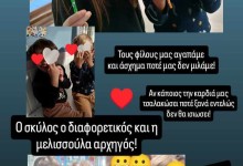 464420835_1028217785768089_7331110569382795530_n