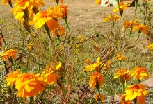 464686056_1030438745545993_7677899941136914674_n