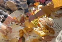 att.rG9lA6TrGfrRG-YI3iuFwALBOyOrqb-Dj8BRsolJjUw