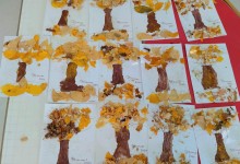 465925888_1040322627890938_1139904997086356697_n