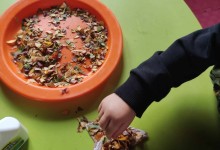 465977659_1040322007891000_7484869257060586679_n