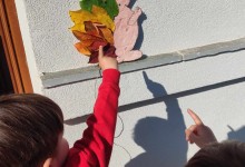 466094657_1040321794557688_1616449463056103801_n