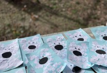 475590243_1096699368919930_5037006056730284323_n