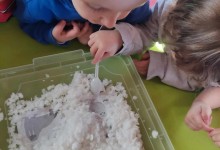 475750087_1096696145586919_4148284251727359329_n