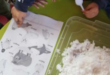 475464603_1096696122253588_175658379046062228_n