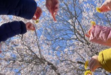 485697281_1133690678554132_4574626623547285845_n