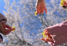 485820095_1133691025220764_1461221974609299991_n