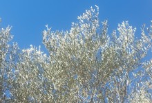 485618751_1133684358554764_5247772501064313493_n