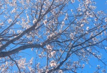 485358267_1133684141888119_7016197915559491018_n