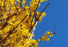 485778809_1133684008554799_1290958192978399186_n