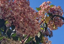 485997059_1133683888554811_2872003312912137212_n