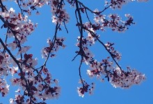 485358270_1133683818554818_2709933689304944066_n