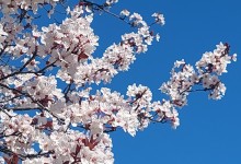 485410482_1133683758554824_1923310667256006557_n